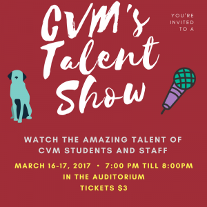 2017 - 3-16 and 17- Talent Show